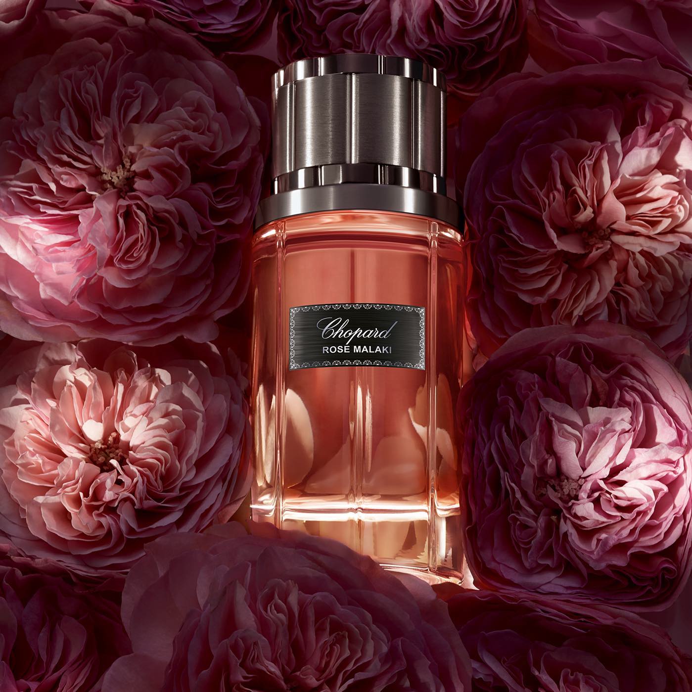 Chopard Rose Malaki Unisex-Eau De Parfum 80ml | Perfumes | Feel22